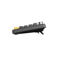 10002-R6V4