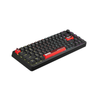 10006-P2jf