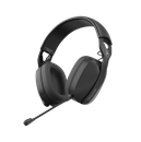 WS-1